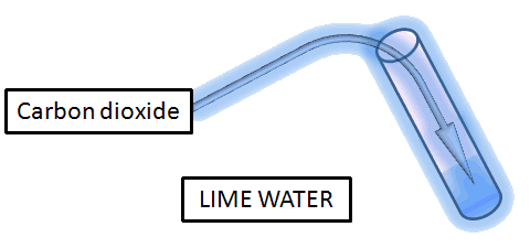 dioxide carbon water lime test sent into science ob