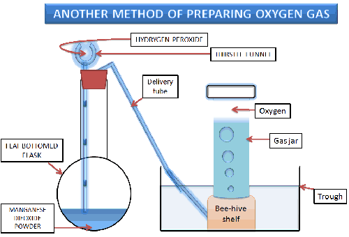 How to test for oxygen gas picture