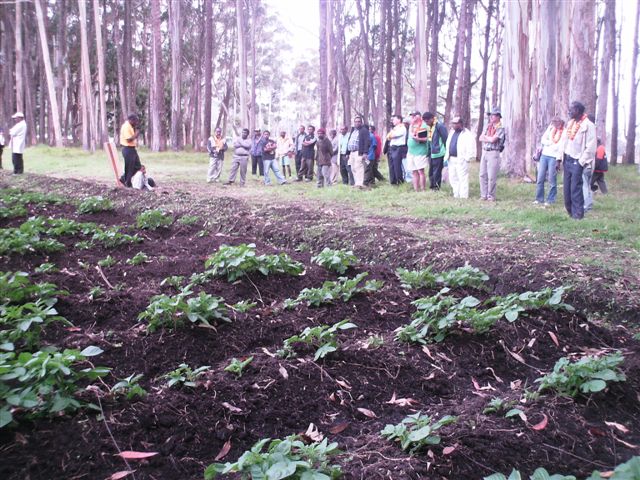 [PICT0383-721670.JPG]