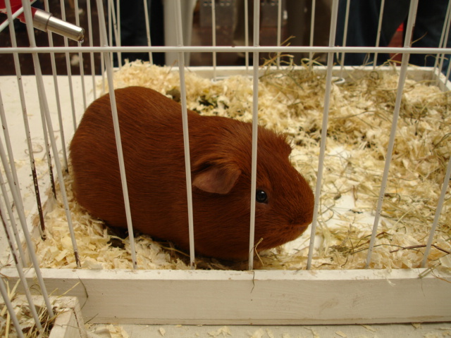 [DSC09421.JPG]