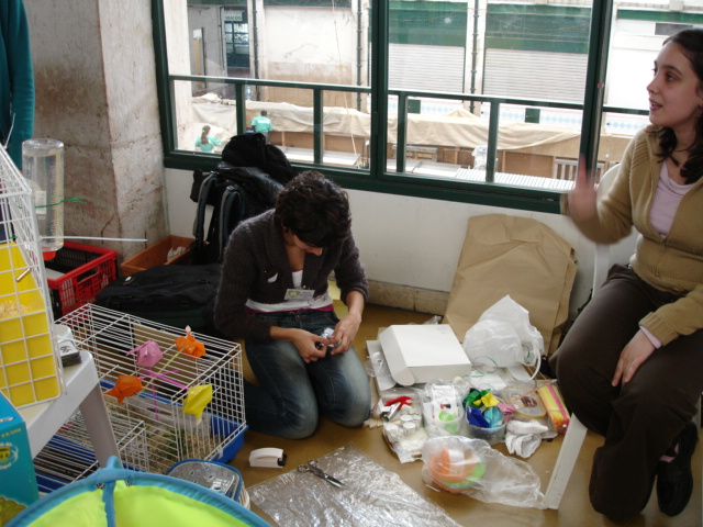 [DSC09436.JPG]