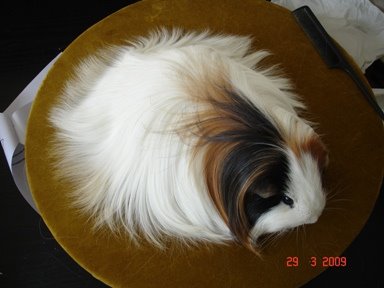 [expo_12_26.JPG]