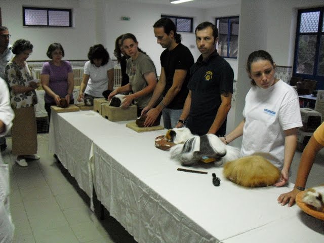 [CIMG2425.JPG]