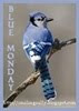 BLUE monday