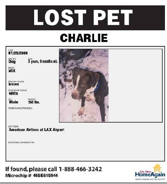 lost and found sign template