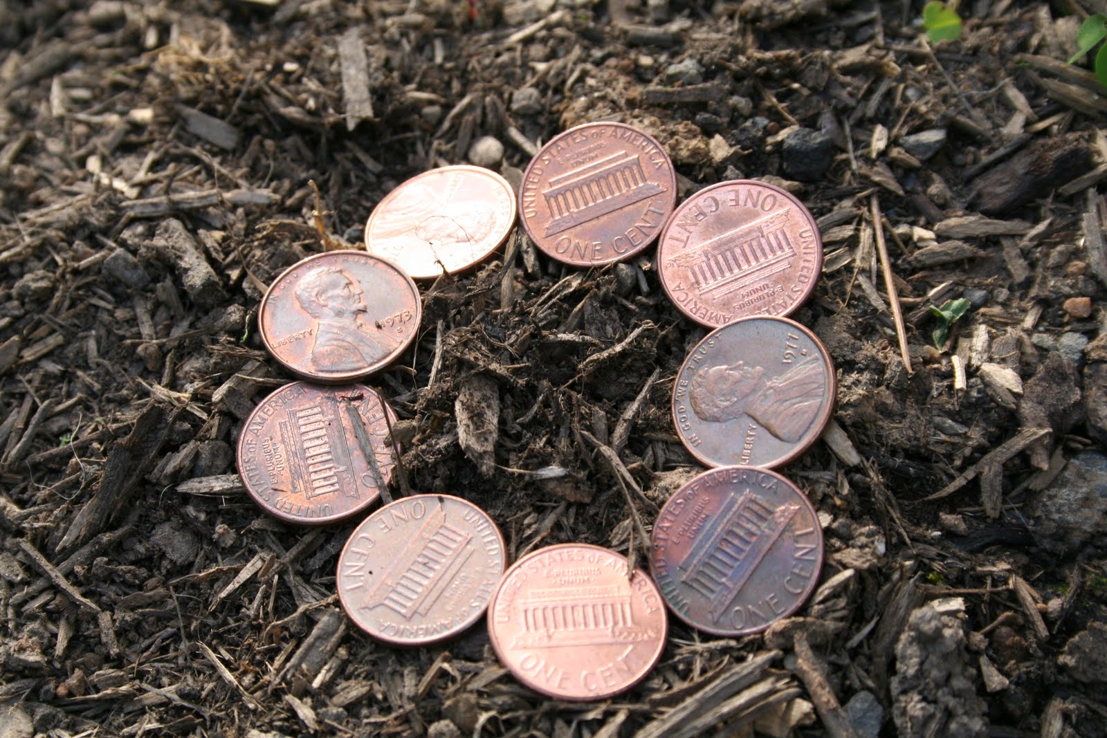 Mama Gone Green Rain, Pennies and Puddles