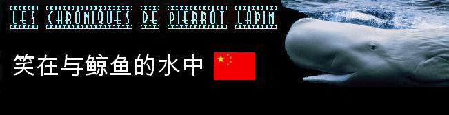 Les chroniques chinoises de Pierrot Lapin