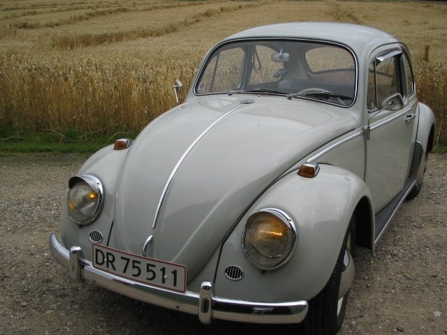 vw 1965