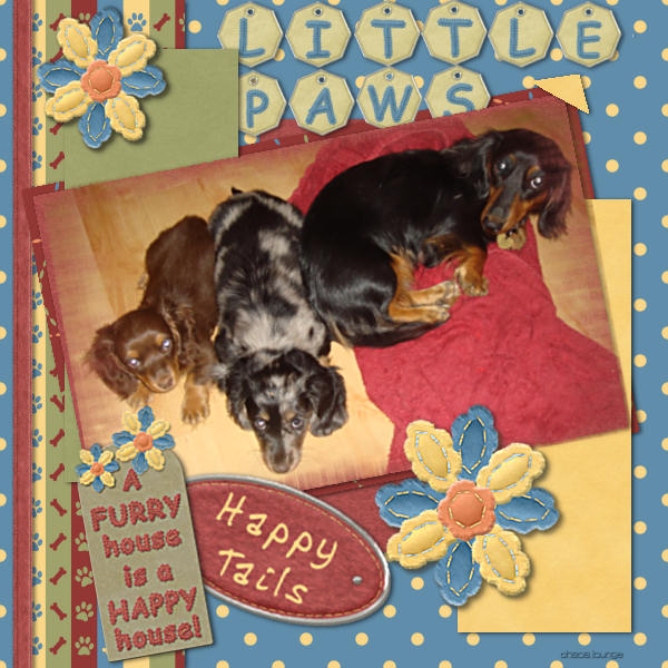 [Little+paws.jpg]