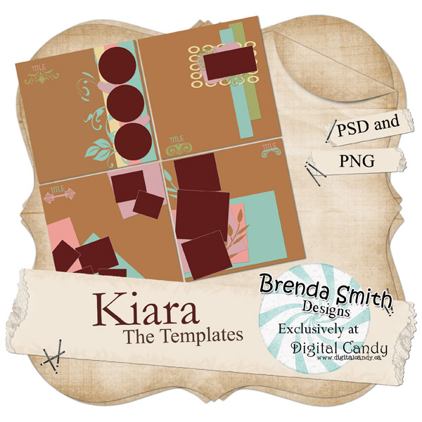 [BSMIT_Kiara_templates.jpg]