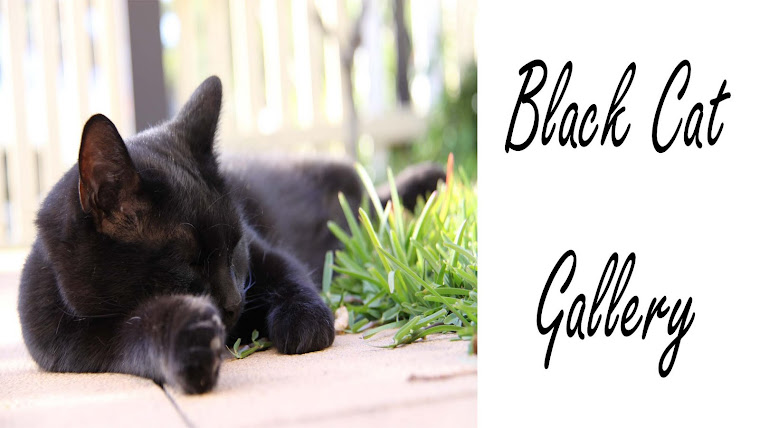 Black Cat Gallery