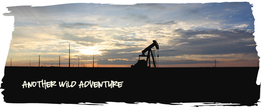 Another Wild Adventure