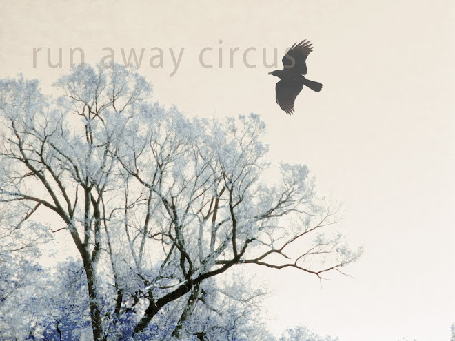 run away circus