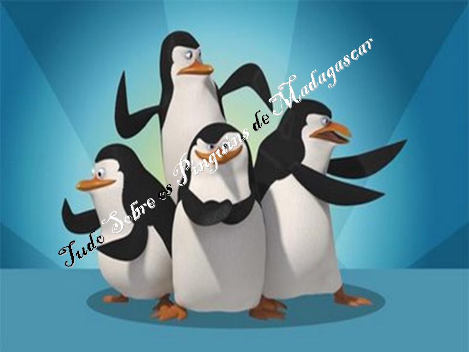 Tudo sobre os Pinguins de Madagascar