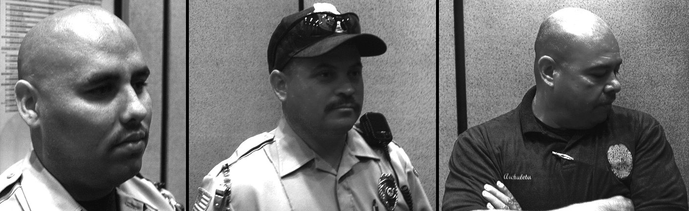 [Mayor-Security-Multi-w1.jpg]