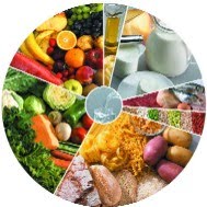 [NovaRodadosAlimentos2.jpg]