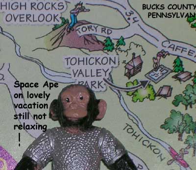 [SpaceApe.jpg]