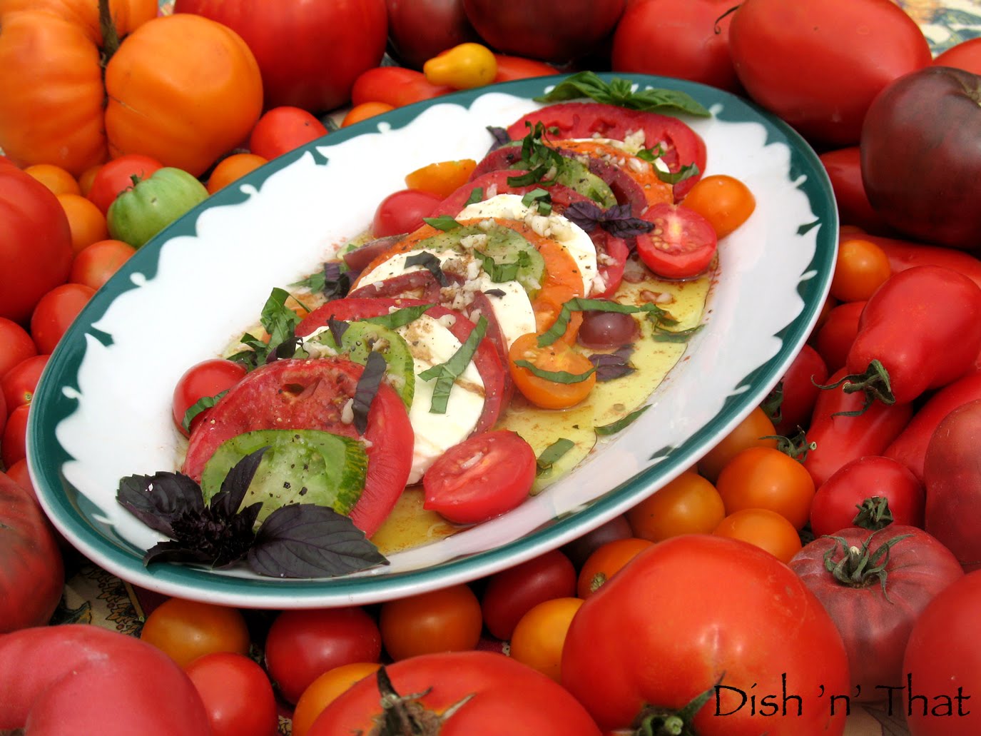 A Comparison Of 5 Heirloom Tomatoes Oak Hill Homestead