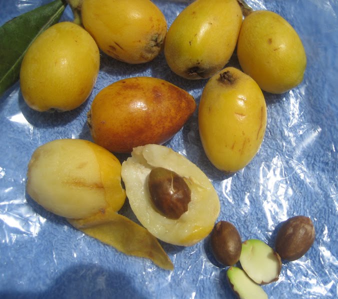 Hey teach me some English Nine days in Cyprus