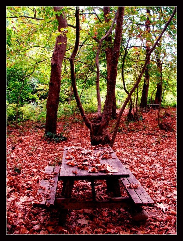 [fall_by_unclesim.jpg]