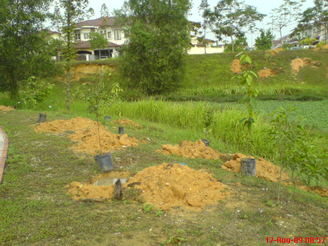 [DSC00291.JPG]