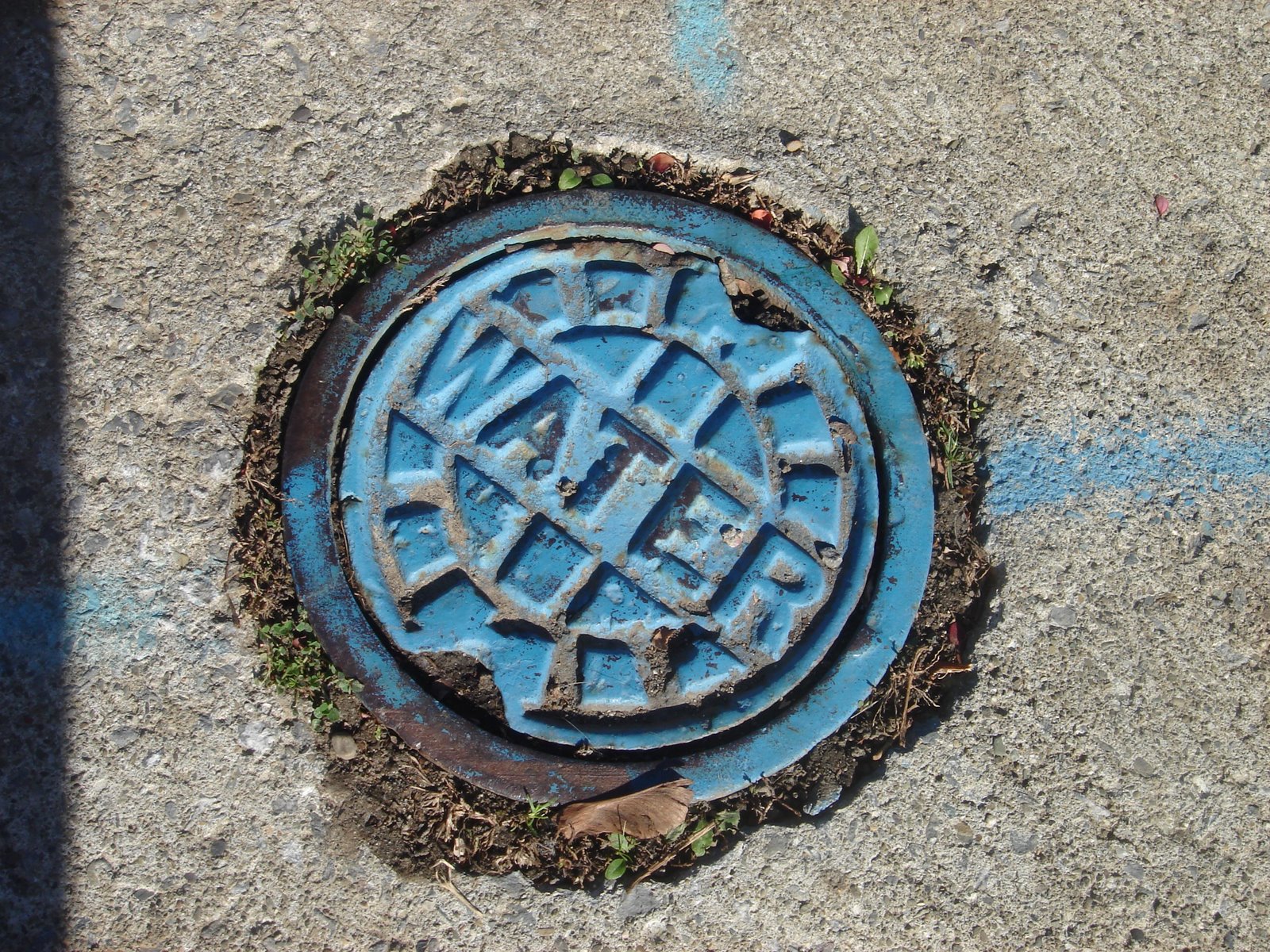 [DSC02040.JPG]