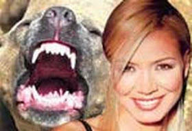 kopek haberleri mart 2010