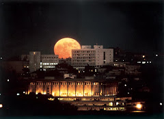 A Very Cool Nighttime Picture Of The Knesset