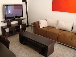 Flat Panel TV in Modern Living Room