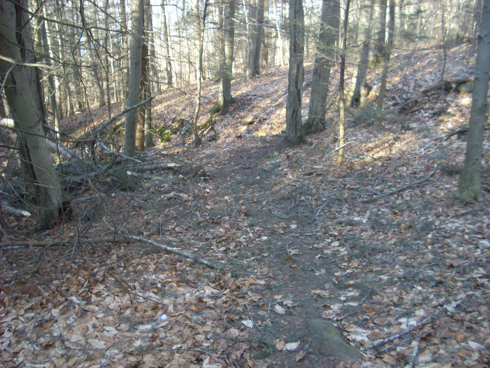 [DSCI3690.JPG]