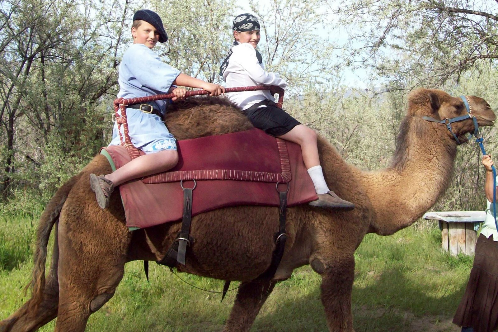 [Camel+Ride2.jpg]