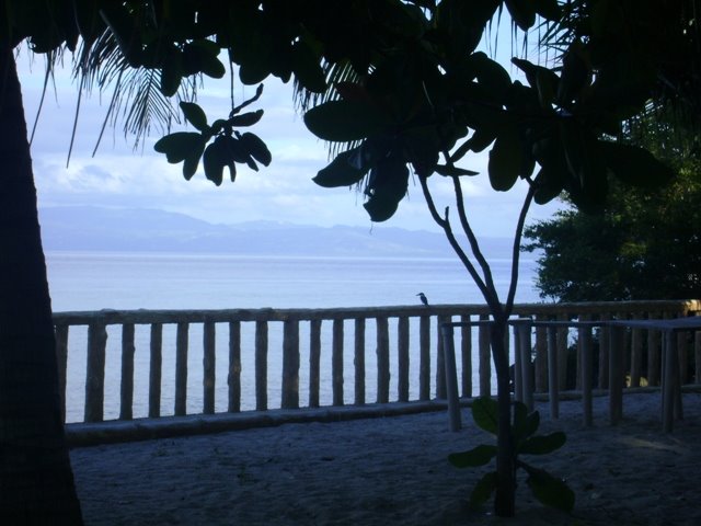 [DSC00356.JPG]