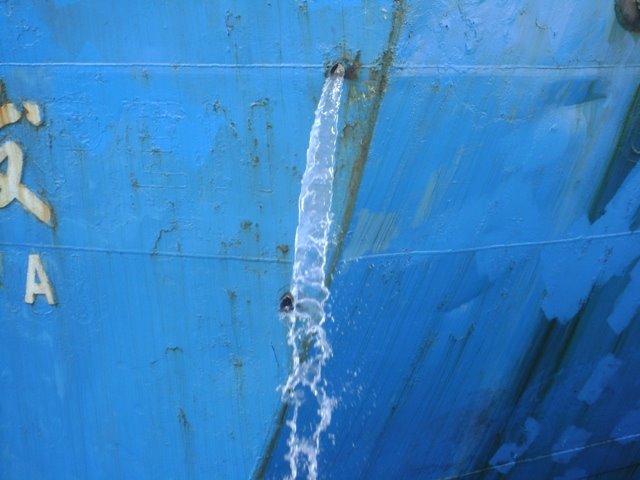 [DSC01893.JPG]