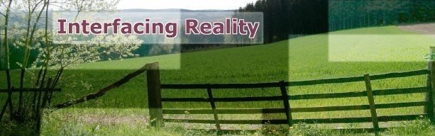 Interfacing Reality