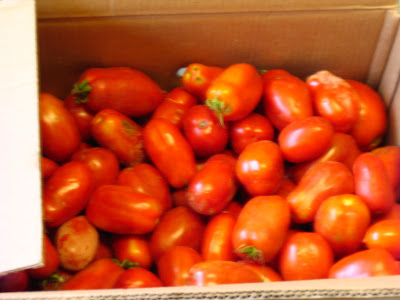  CSA Week 12 Tomatoes. September, 2008. photo Jenonymous/Group News Blog.