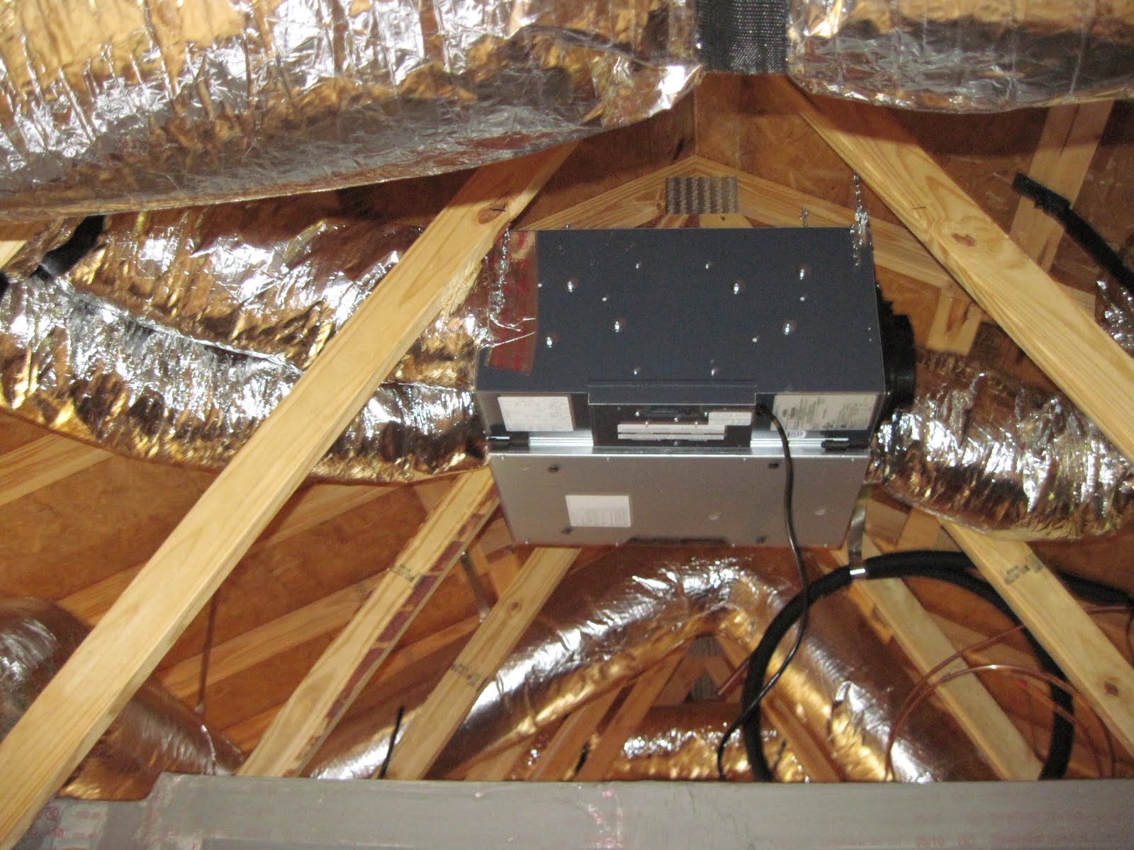 Affordable Green Home July 2010