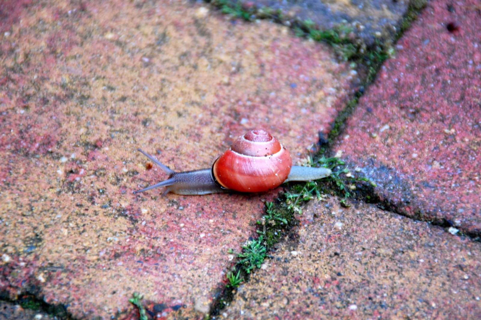 [DSC_0031.JPG]