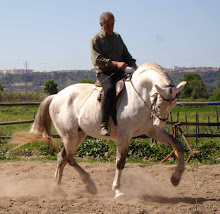 Cavalos em venda