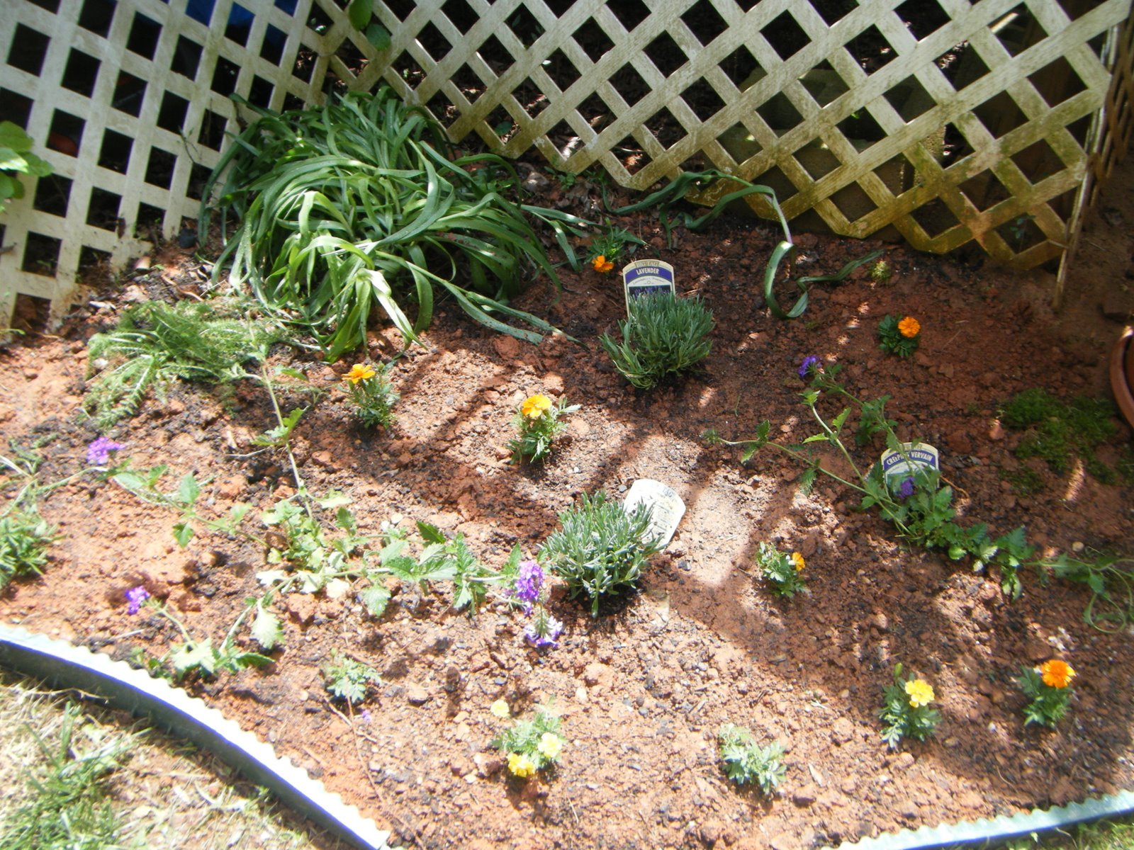 [2009_04300005.JPG]