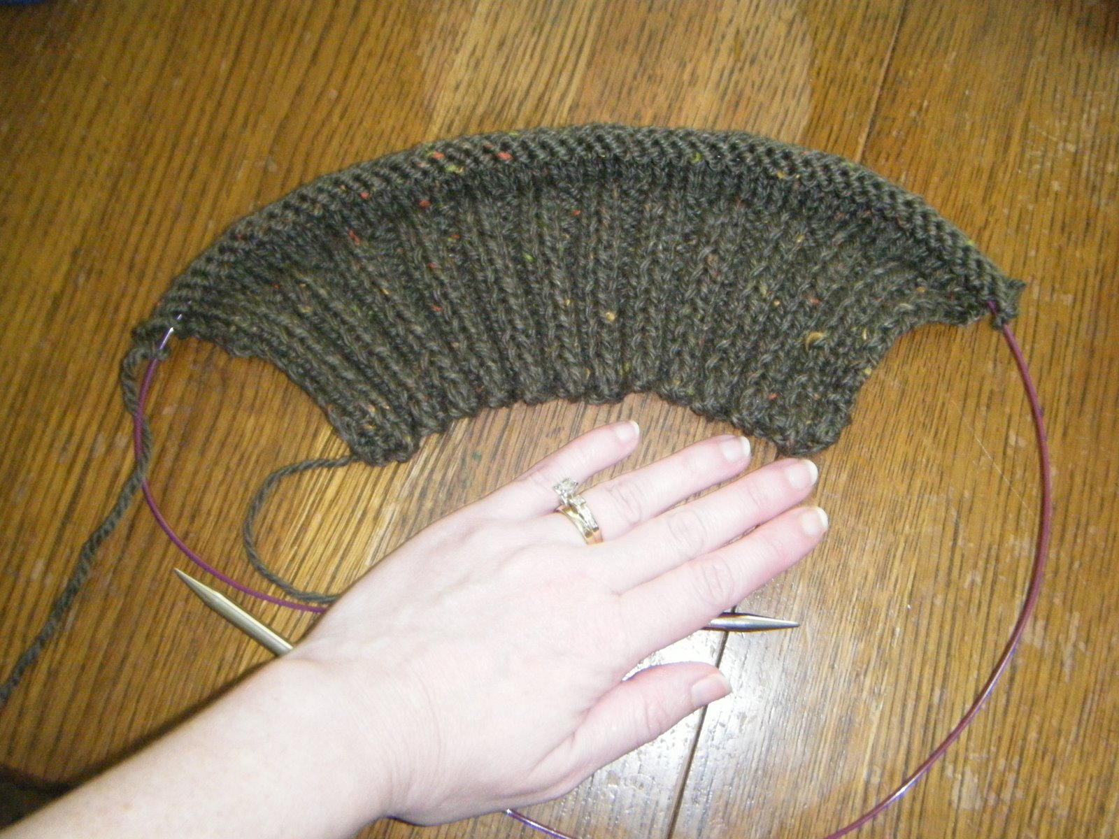 [2009_07100002.JPG]