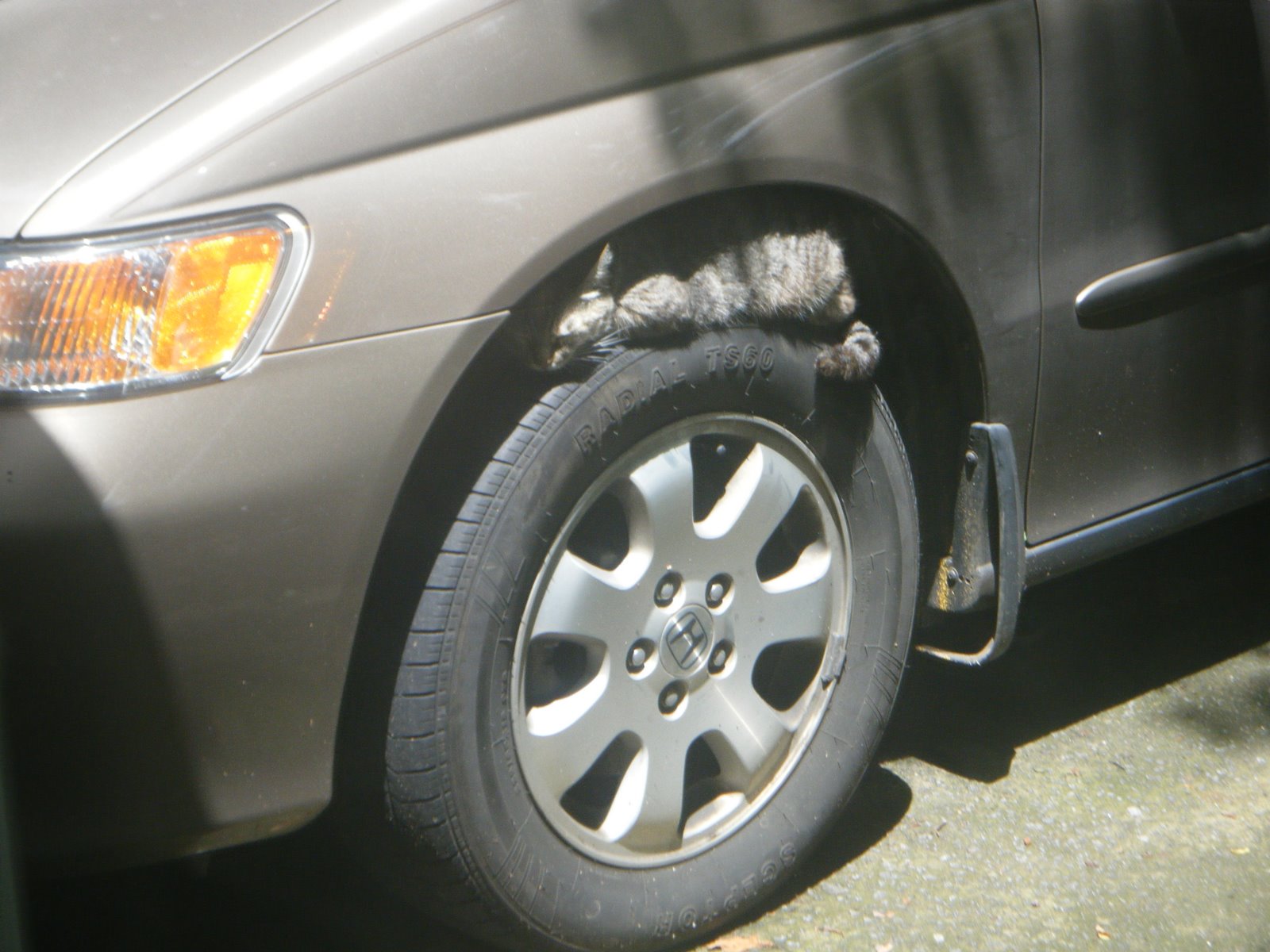 [2009_07290002.JPG]