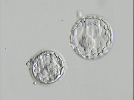 [14882-et.JPG]