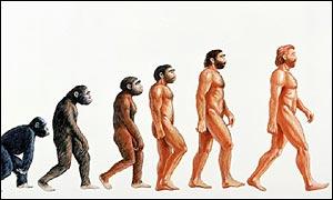 Evolución del hombre