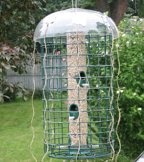 feeders birding brownstone 2007 birds cardinal