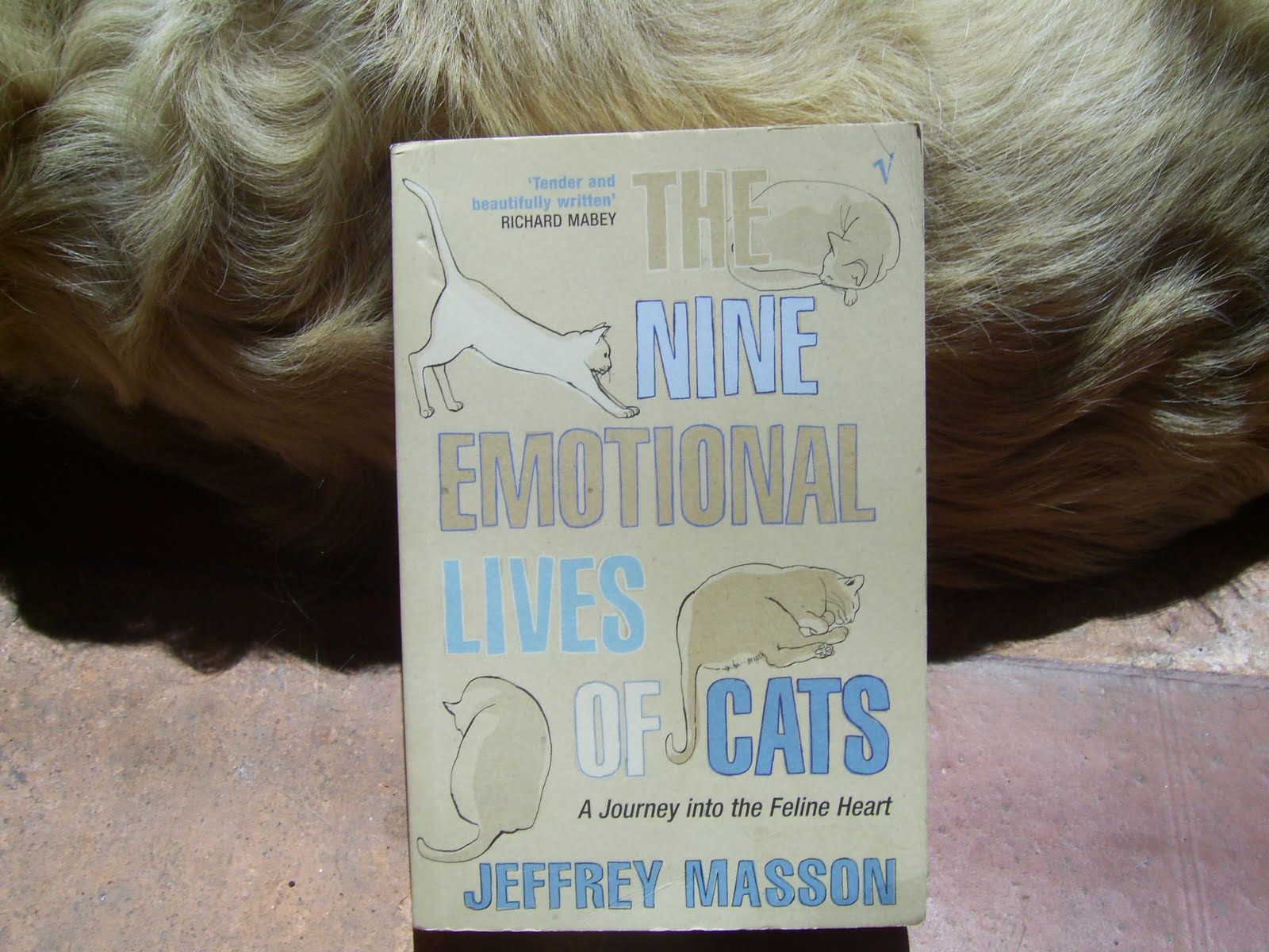 Nine Emotional Lives of Cats Jeffrey Masson