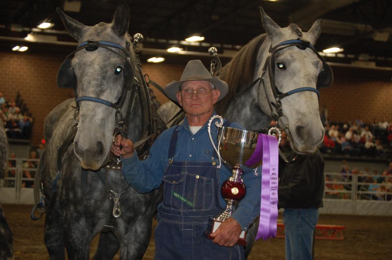 World Percheron Congress 2014 Feed Team Races And Farm Team Competition