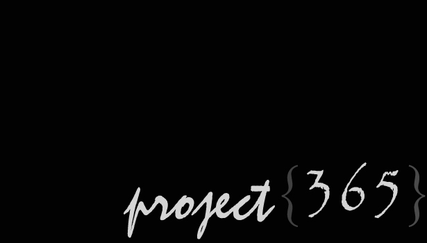 project {365}