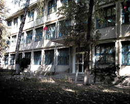 Romanian School in Dorohoi