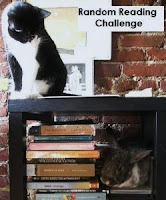Random Reading Challenge
