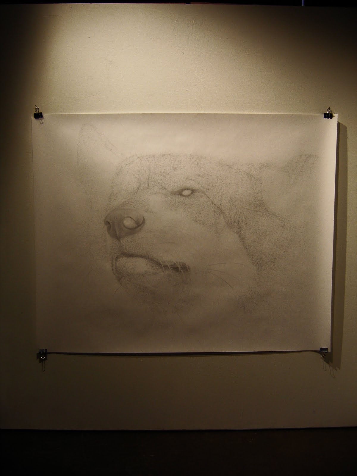 [IMG_8167.JPG]